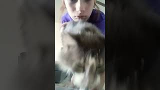 He Sat On The Camera