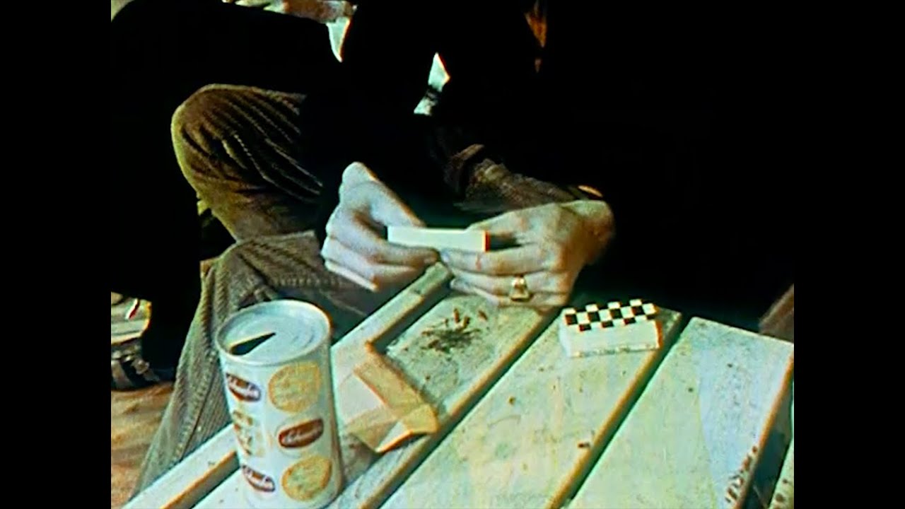 Cannabis, Herb of the Counterculture