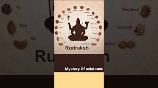 Rudraksha Different Parts Name Explained | Spiritual Knowledge