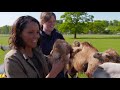 Bbc animal park summer special  episode 1