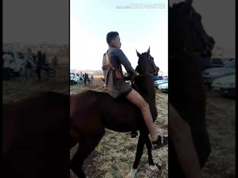 راسي ماينذل راسي شيخ بعمامي وناسي بلا عشاير لنا سيط بلا حكوما كراسي