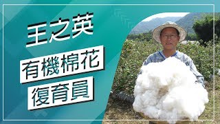 草地狀元-有機棉花復育員(20171113播出)careermaster