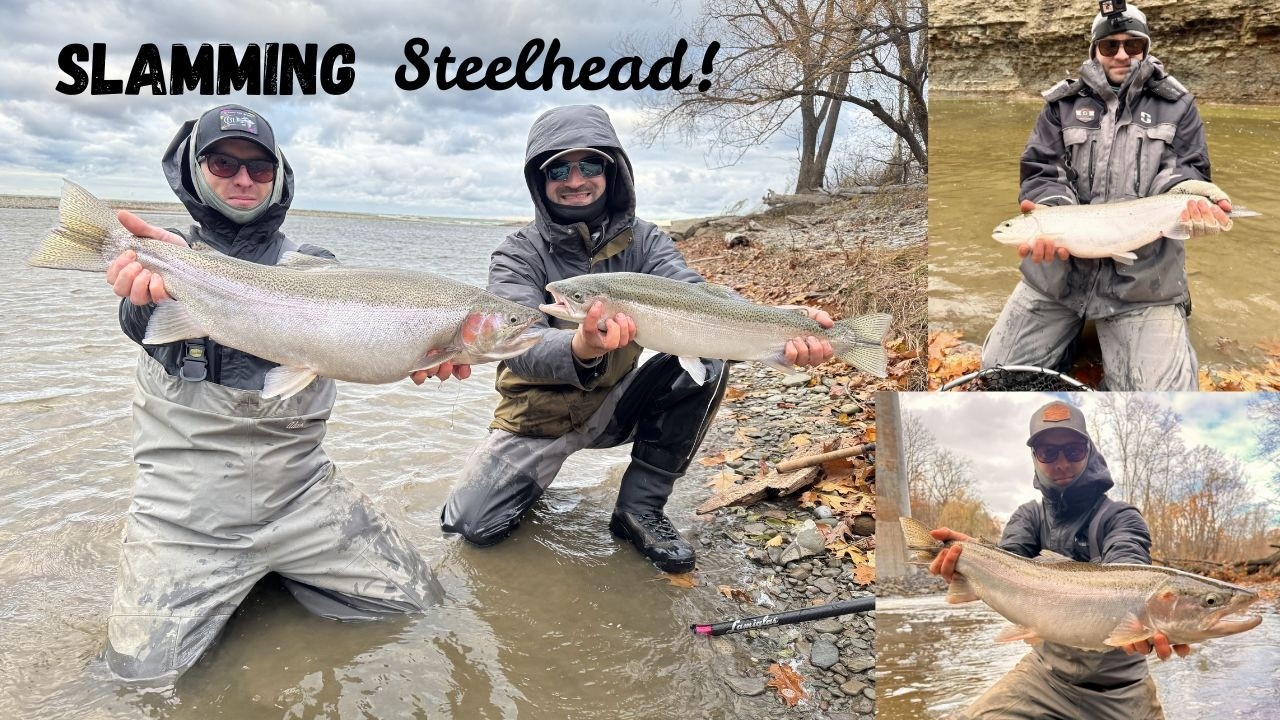 Лучшая река для ловли стальноголового лосося в западной части штата Нью-Йорк! (Рыбалка с друзьями...