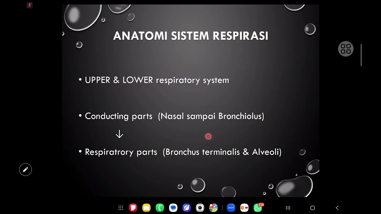 KULIAH 11: Imunologi sistem respirasi dr. Reza (29/04/2026)