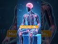 What is Varma Therapy? Complete Explanation of Varma Points &amp; Natural Healing | Prana ARC