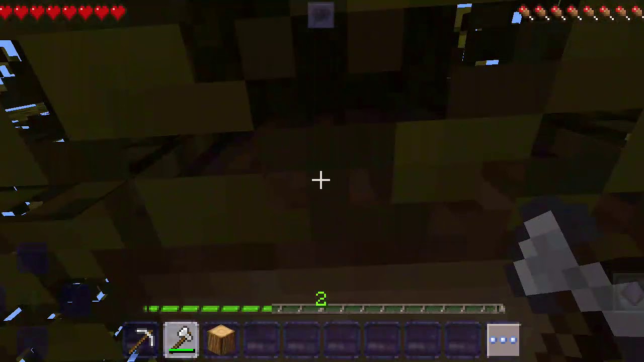 EL GATO NATO - YouTube