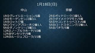 2026,1,24新馬未勝利戦の調教の良かった馬のピックアップです