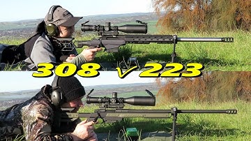 308 win v 223 rem at 1155yards