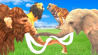 2 Saber-Toothed Tiger VS Woolly Mammoth Save Elephant | Mammoth & Smilodon's Wonder Time Travel #1