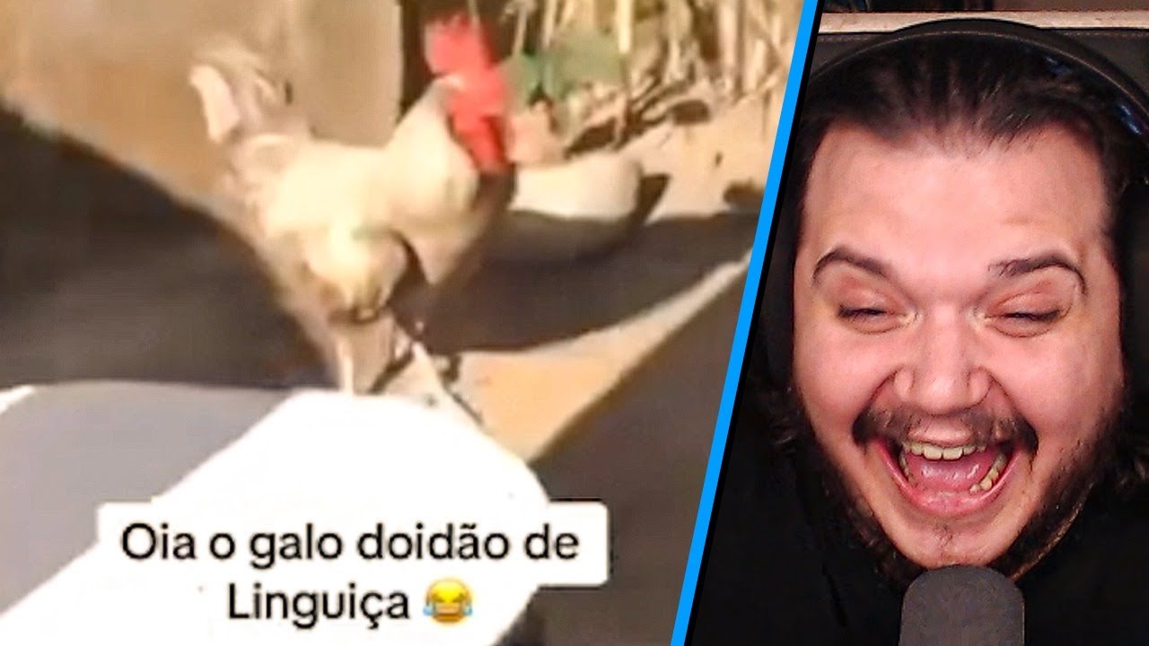 GALO CHAPADO DE LINGUIÇA - Memes do discord