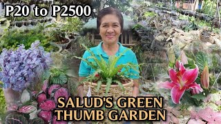 Plant Hunting Sa Silang Cavite Hanging Plants Overload Ang Gaganda Ng Mga Bagong Collection Nila