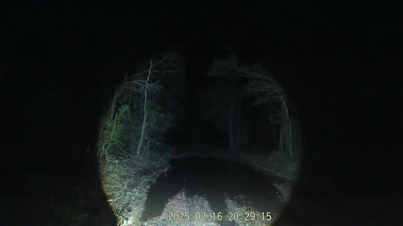 Saratoga TX Ghost Road