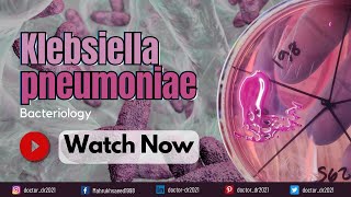 Klebsiella Pneumoniae: Pathogenic Mechanisms, Symptoms, and Treatment | Study Bacteriology