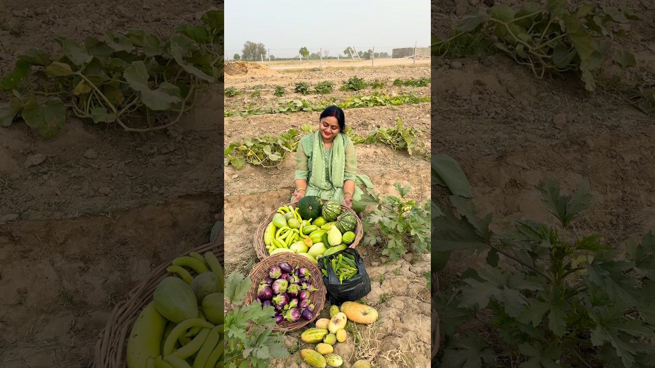 Harvesting loads of veggies 🥗🥕from farm #farm #farming #garden #india #nature #vegetables #foryou