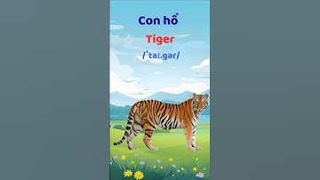 Con Hổ - Học từ vựng tiếng Anh #thaytuvuitinh
