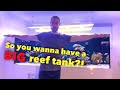 Pros and cons of a big reef tank