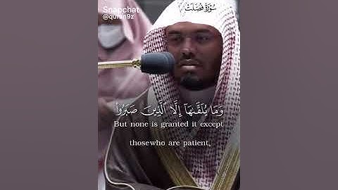 سورة فصلت بصوت الشيخ ياسر الدوسري