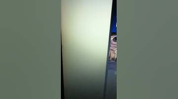 Random Text Box Thing