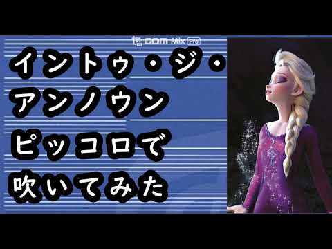 イントゥ・ジ・アンノウン　ピッコロで吹いてみた