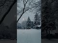 White everywhere, calm inside ❄️
