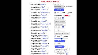 HTML Input Tags List Tutorial For Beginners Web Development #coding #aiwebsites #aitools #html #web