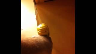 Plunger style lock installed on the side of desk drawer.