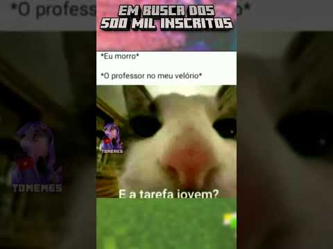 🦆 E A TAREFA JOVEM? 😎 | OS MELHORES MEMES