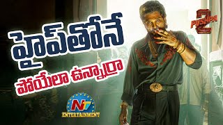 Allu Arjun's Pushpa 2 The Rule Hype is Increasing Day by Day..! | Sukumar | NTV ENT