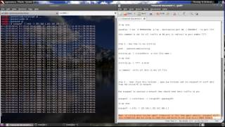 Man in the Middle Attack using ssl strip