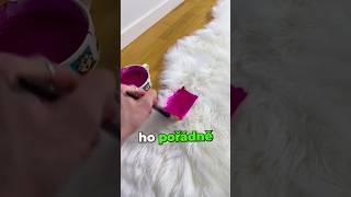 Tenhle koberec měl být odolný proti skvrnám… 😱😭
