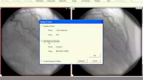 TIMS Dicom Converter Demo