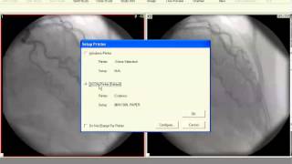 TIMS Dicom Converter Demo