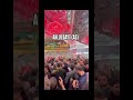 Love of Ahlebait as 🙌🏻❤️  #ahlebait  #islam #love #viral #viralvideo