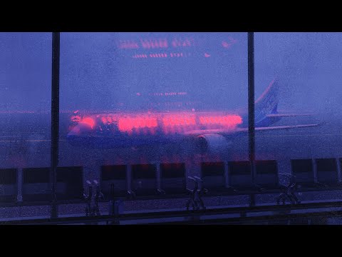 Zetazen - Día Cero