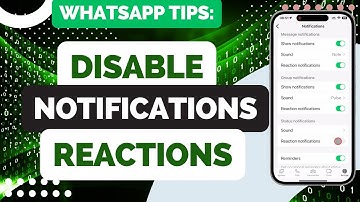 How To Disable WhatsApp Status Reaction Notifications