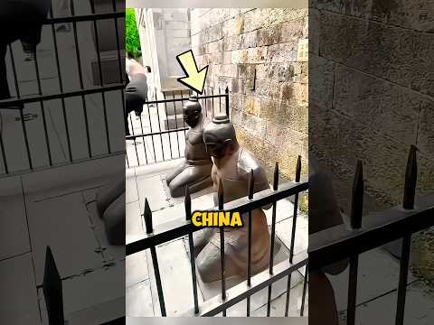 Aún Golpean A Estos Traidores En China Shorts Datoscuriosos Historiasreales 