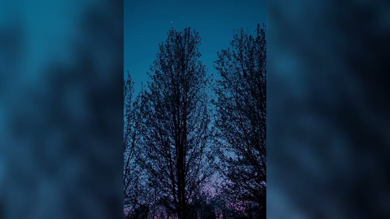 90s Boom Bap Hip Hop Instrumental "Te Voy A Olvidar" | Underground Boom Bap Instrumental uso libre