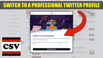 How To SWITCH To a PROFESSIONAL TWITTER Profile - Basic Tutorial | New
