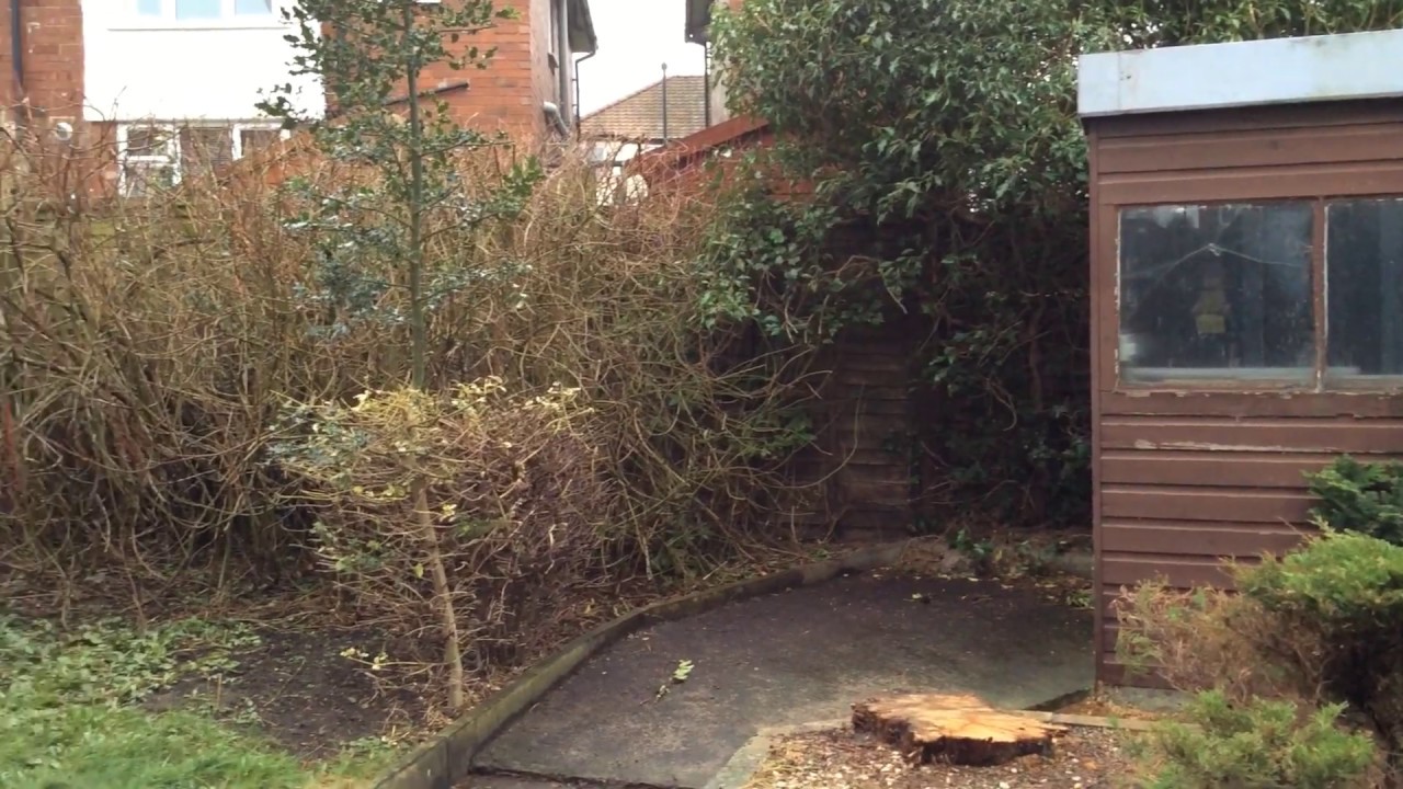 Cycle Street, Hull Road, York YouTube