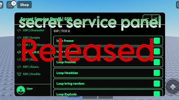 The chosen hub secret service panel script (RELEASED)