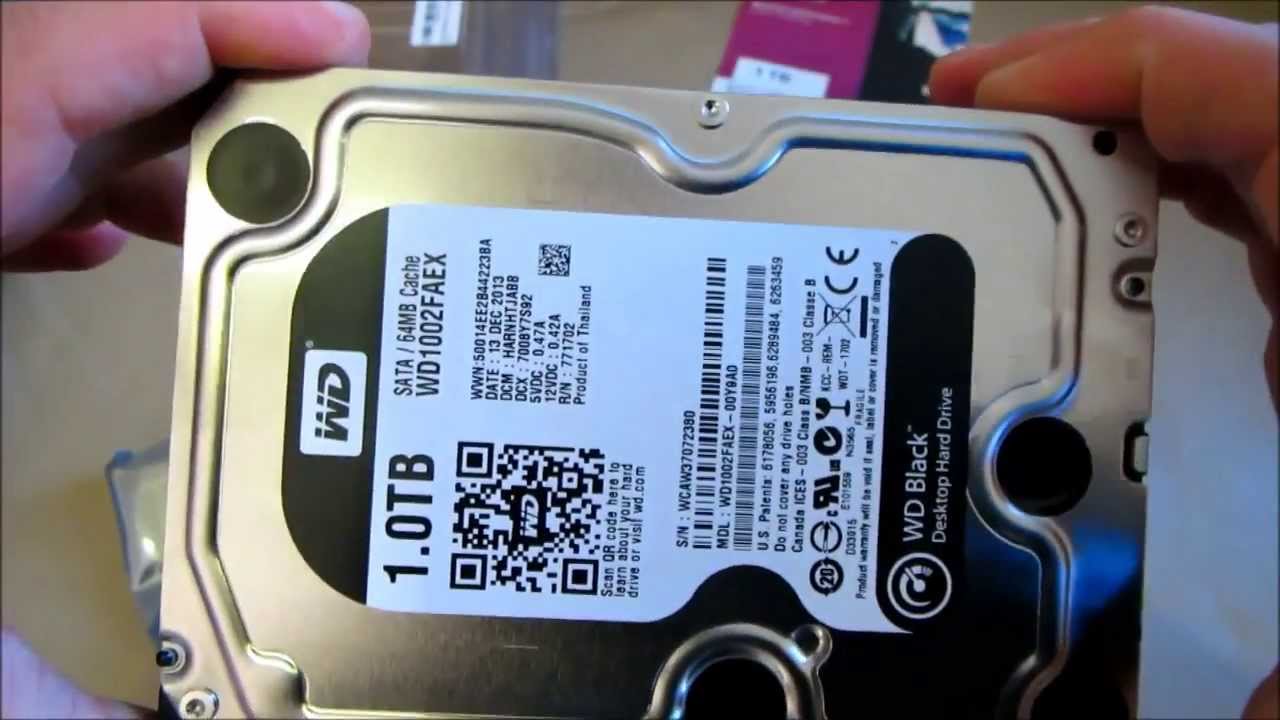 Wd 1tb 3 5 Inch Internal Hard Drive Black Standard Unboxing Review Youtube