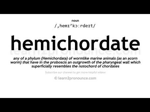 Pronunciation of Hemichordate | Definition of Hemichordate