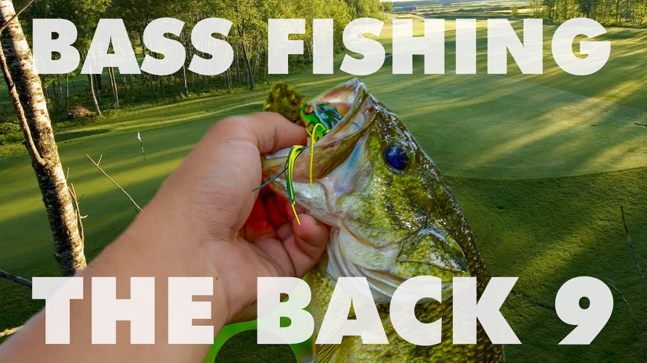 Catching bass on the back nine!!! YouTube