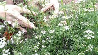 Download Lagu The Fish Froze in Front of the Rocks… For a Reason MP3