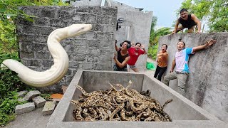 Brave soldiers used high-tech snake detectors to locate the giant python's nest.