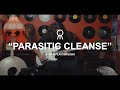Hail The Sun "Parasitic Cleanse" Guitar Playthrough