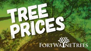 Tree Prices Simple The Best Fort Wayne Trees