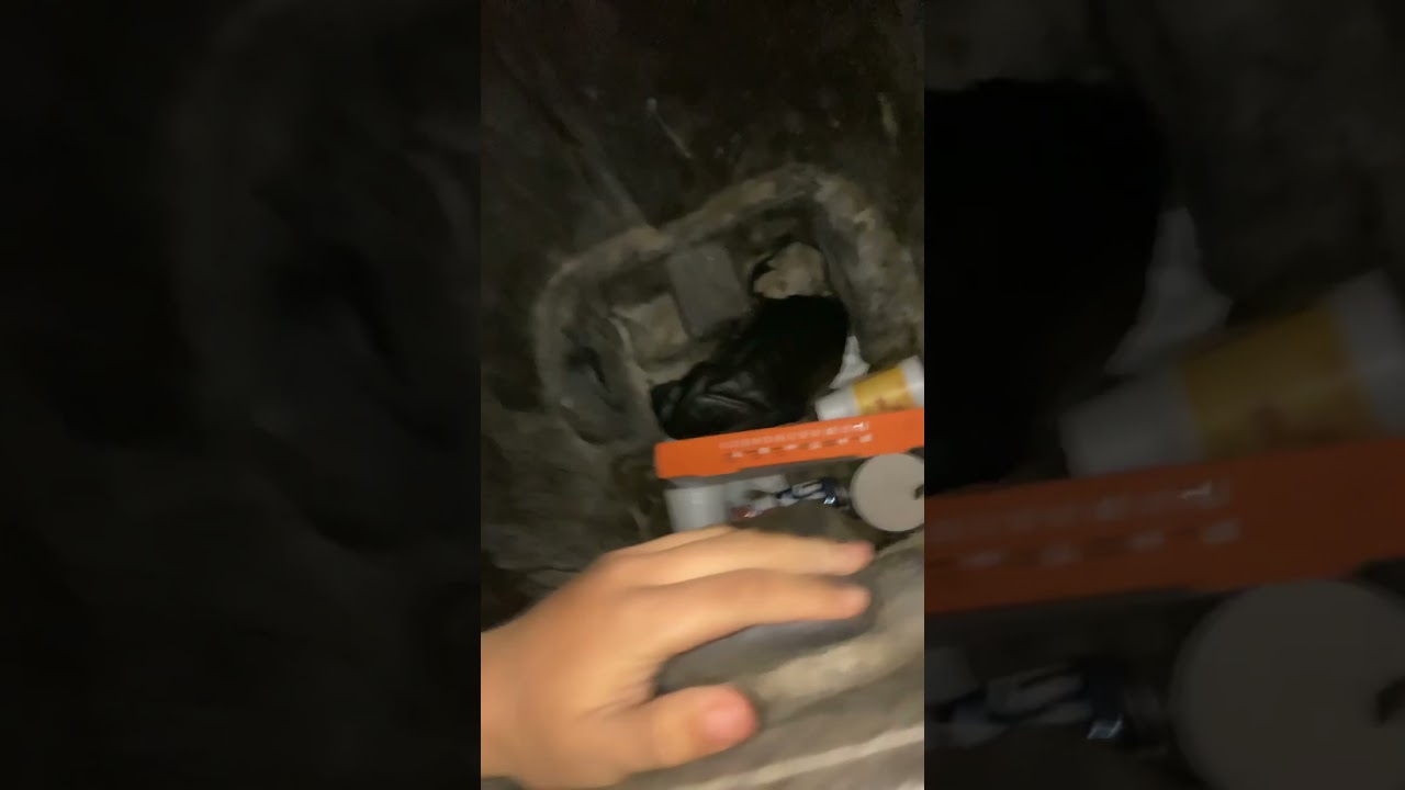 Dumpster diving Fail 