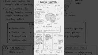 Making complex concepts simple 🧠✨At BrainRoots, learning is always visual + fun #VisualLearning