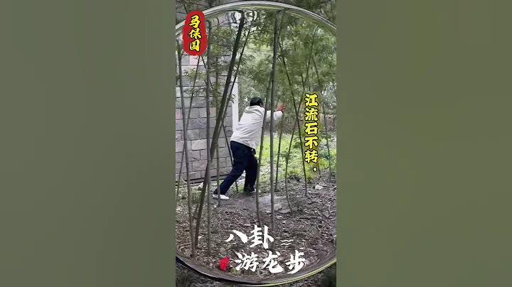 馬老師展示馬氏八卦遊龍步#馬保國 #接化發 #中國功夫 #武術 #生活 #八卦 #功夫 - 天天要聞